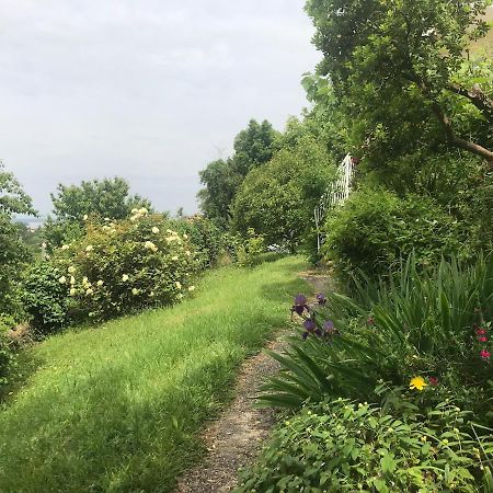 Appartement Avec Vue Panoramique Sur L'Estuaire De La Gironde Plassac  Eksteriør billede