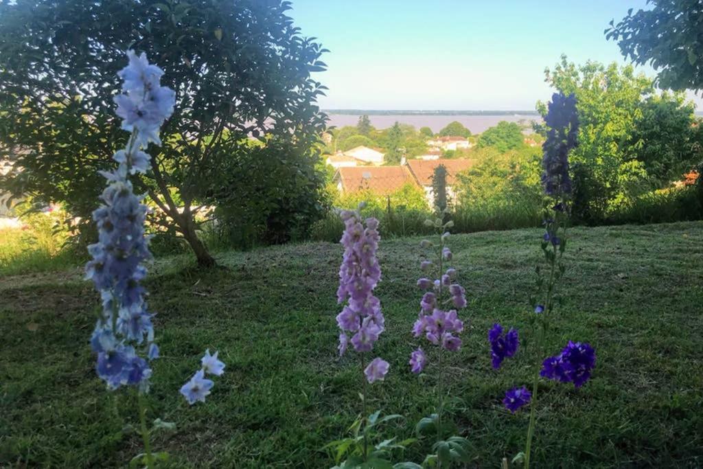 Appartement Avec Vue Panoramique Sur L'Estuaire De La Gironde Plassac  Eksteriør billede