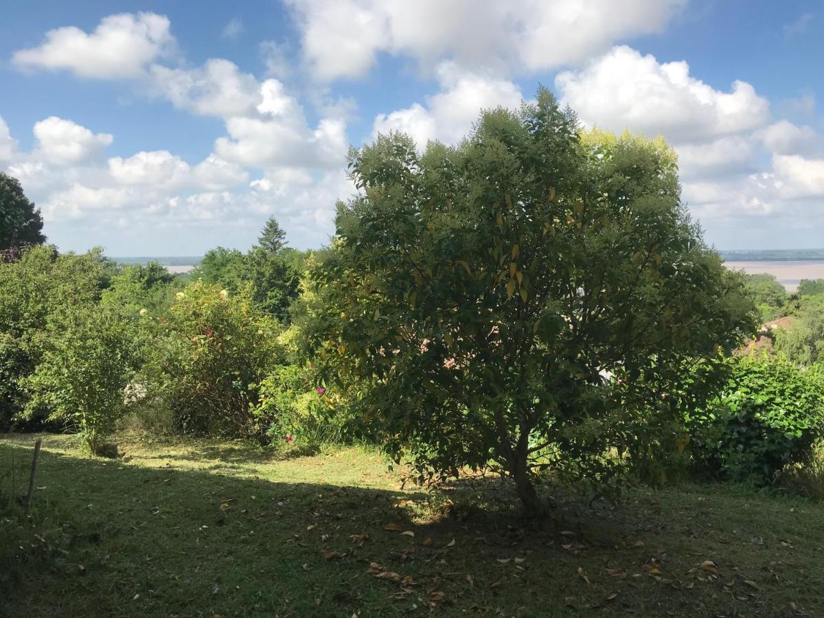 Appartement Avec Vue Panoramique Sur L'Estuaire De La Gironde Plassac  Eksteriør billede