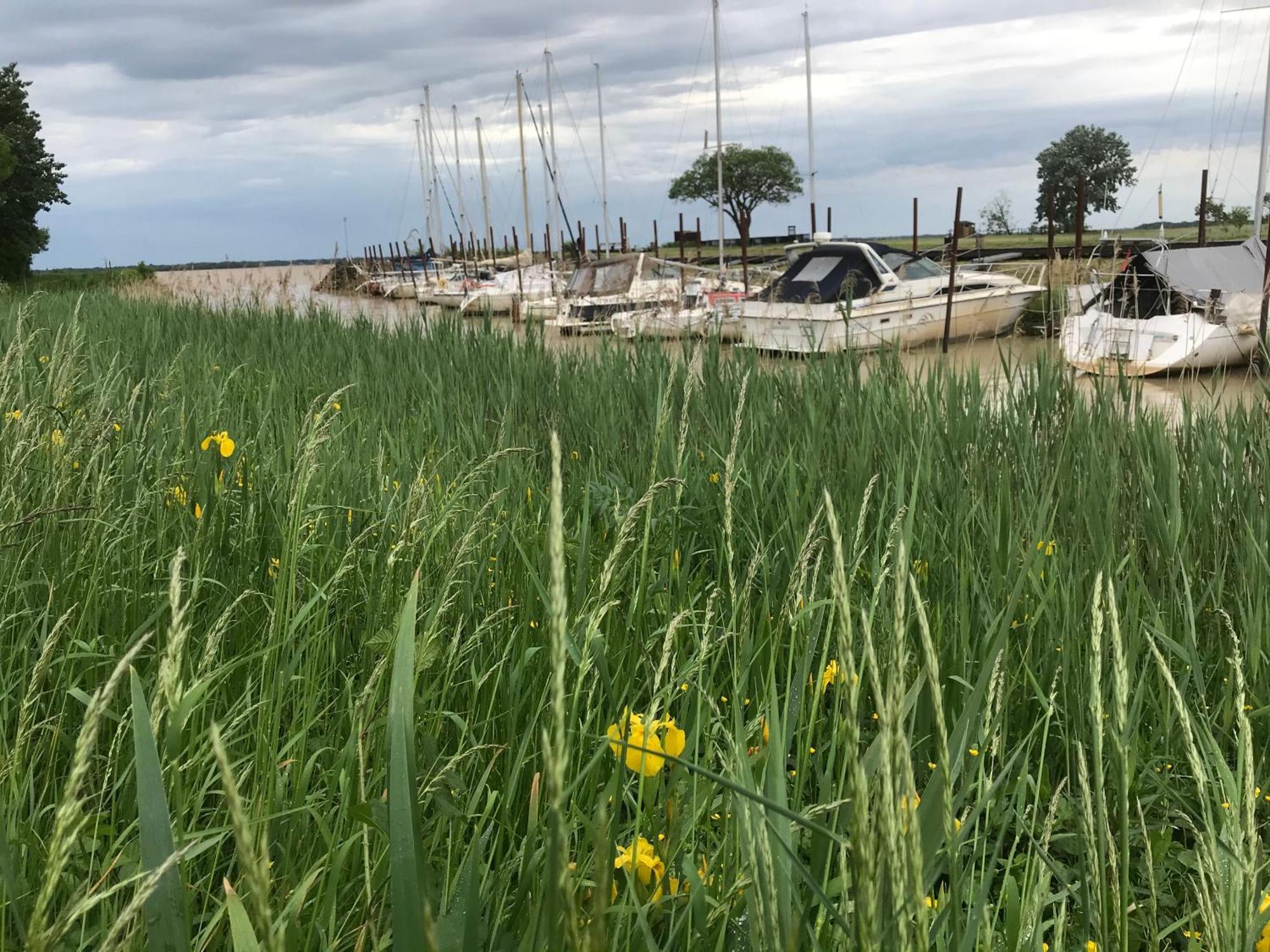 Appartement Avec Vue Panoramique Sur L'Estuaire De La Gironde Plassac  Eksteriør billede